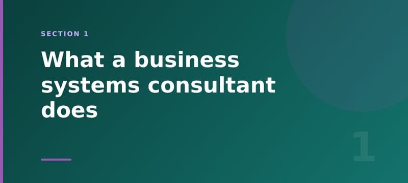 Section 1 card: what a business systems consultant does